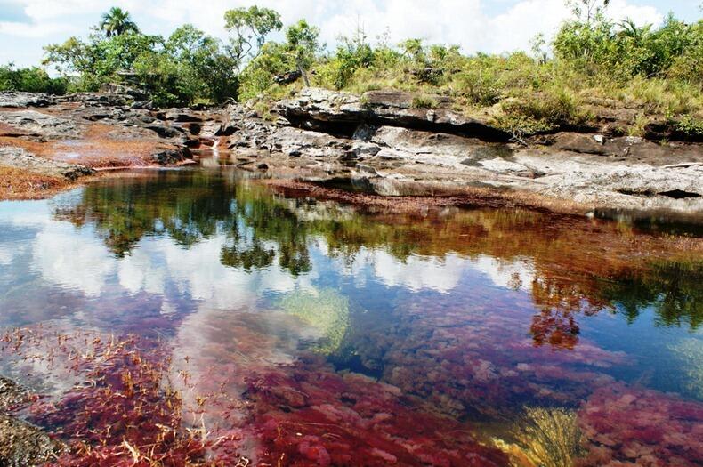 Indahnya Crystal River, Sungai dengan Warna Pelangi