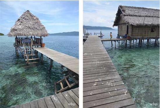 Daftar Resort dan Homestay di Raja Ampat