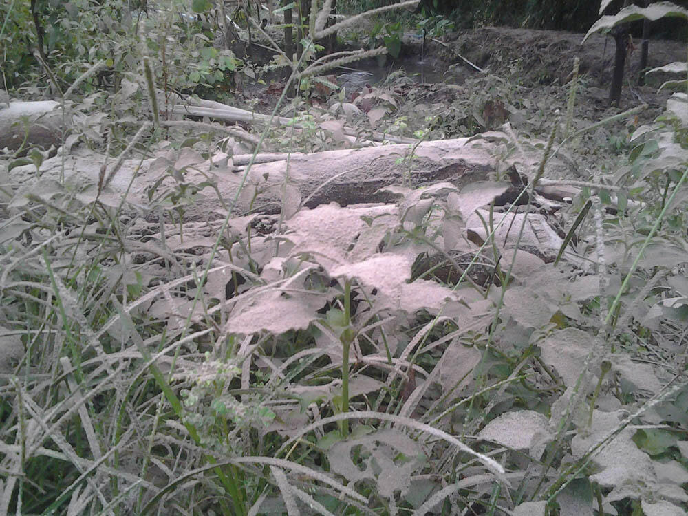 dampak meletusnya gunung kelud sampai Sragen jawa tengah