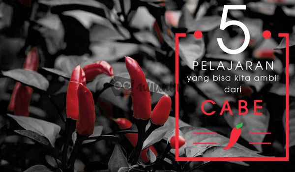 5 Pelajaran yang Bisa Kita
Ambil dari Cabe-Cabean