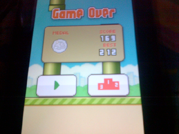 Highscore flappy bird ane gan