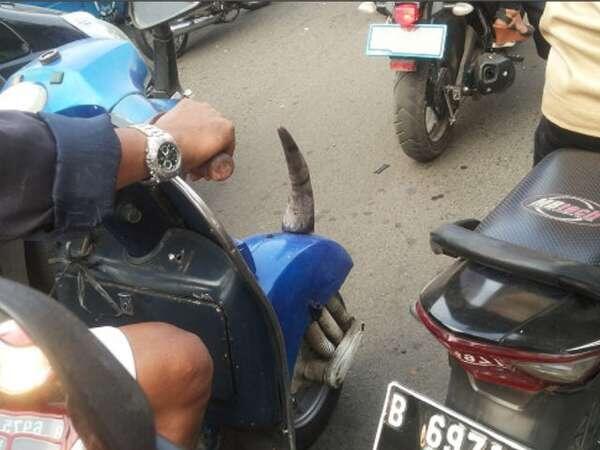 Gak Cuma BADAK yang Bercula Gan Vespa Juga Ada 