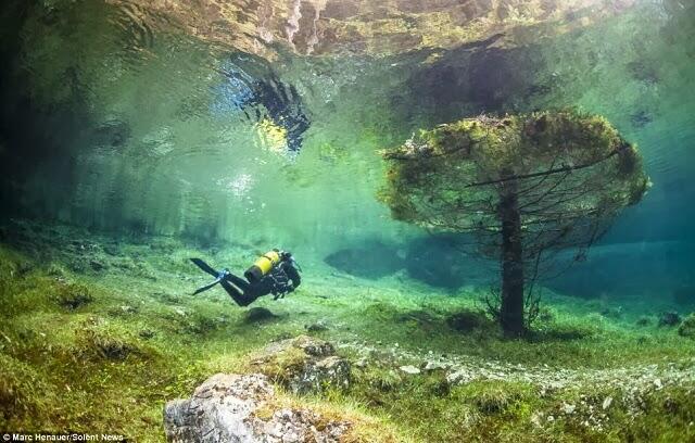 &#91;Ajaib&#93; Tempat Rekreasi Taman Bawah Air Green Lake, Austria