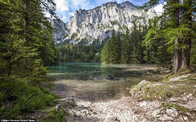 &#91;Ajaib&#93; Tempat Rekreasi Taman Bawah Air Green Lake, Austria