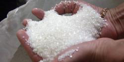 gila Dahlan sesumbar produksi gula BUMN 1,8 juta ton tahun ini