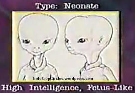 7 jenis Alien Yang pernah Berkunjung Ke Bumi