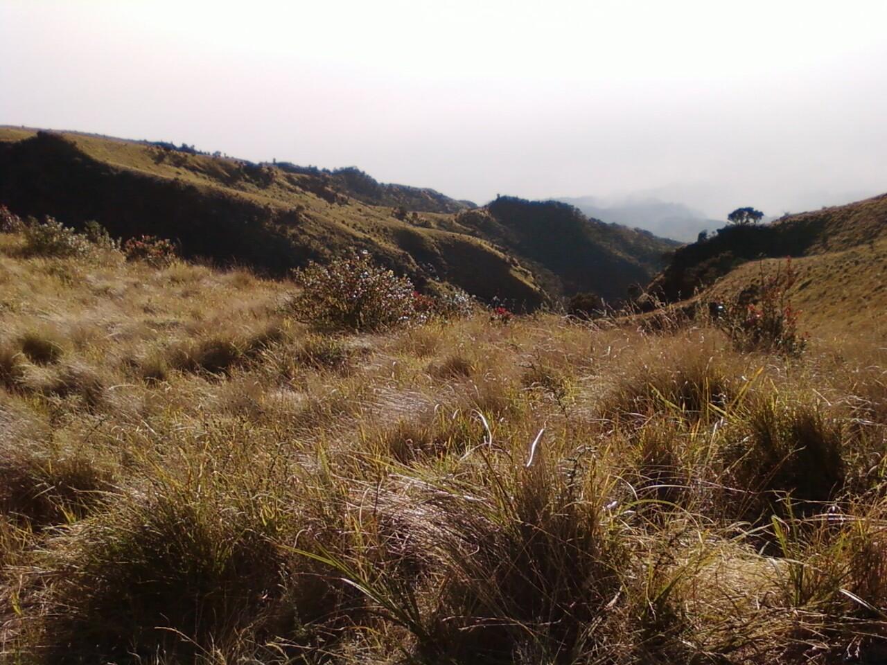 Hal yang bikin kangen Merbabu