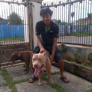 Raymond Filbert Labirinth cowo termodis dipalembang