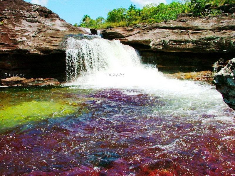 Indahnya Crystal River, Sungai dengan Warna Pelangi