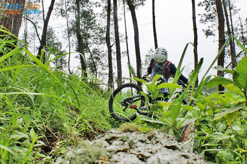 KOSKAS MALANG - ride & share