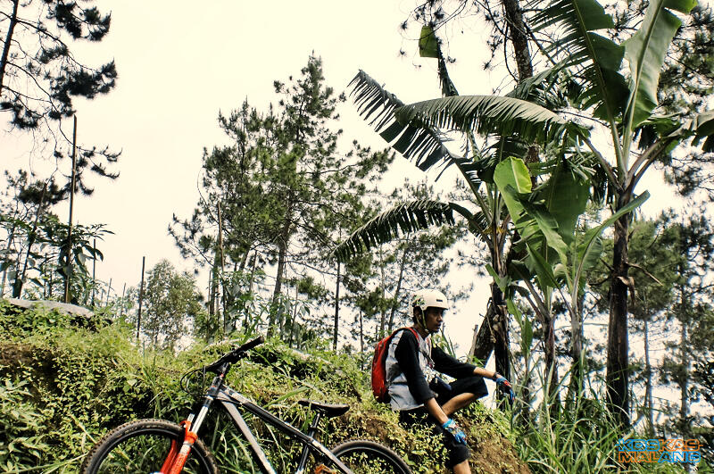 KOSKAS MALANG - ride & share