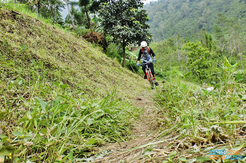 KOSKAS MALANG - ride & share