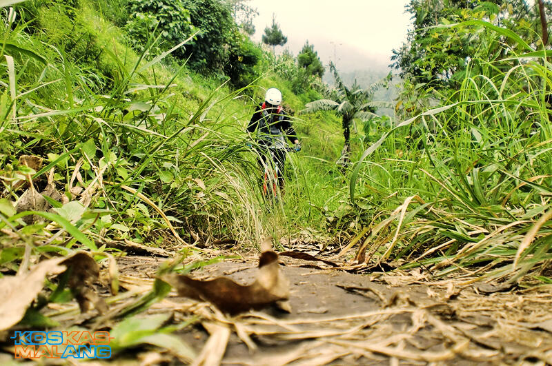 KOSKAS MALANG - ride & share