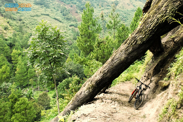 KOSKAS MALANG - ride & share
