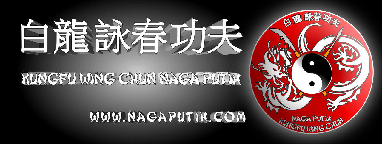 Kung Fu Wing Chun Naga Putih (白龍功夫詠春)