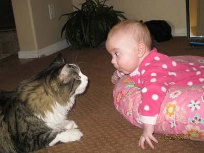 INI DIA WAJAH LUCU ANAK KECIL