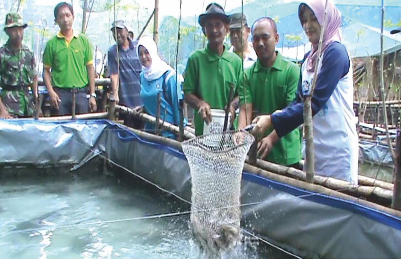 PROBOLINGGO BANGGA PUNYA BUPATI CANTIK!! (MASUK)