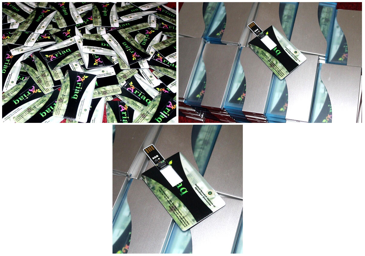 Suplier Flashdisk Kartu/Card/ATM Custom, Best Merchandise For Your Promotion