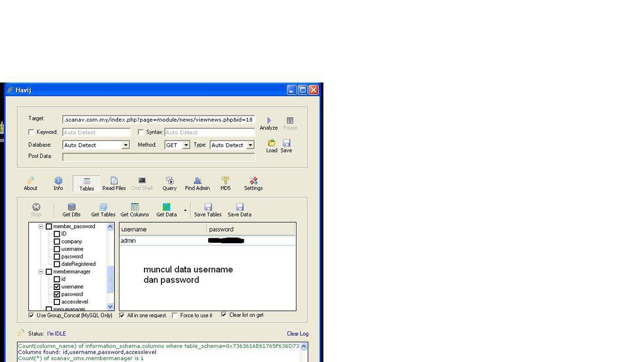 Tutorial SQL Injection dengan Havij 1.15