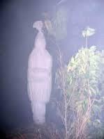 BERJUMPA MA POCONG ( KISAH NYATA )