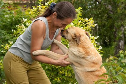 10 Alasan Anjing Lebih Baik Daripada Pacar