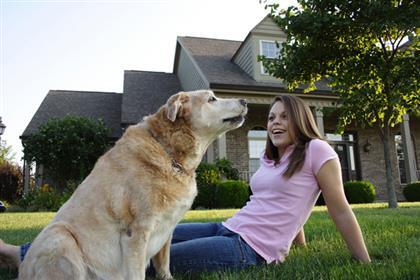 10 Alasan Anjing Lebih Baik Daripada Pacar