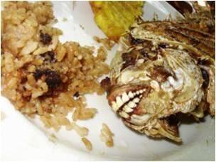 Gokil... Nih ikan punya Struktur Gigi kaya Manusia
