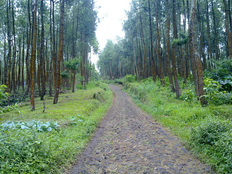 ini tempat terbaik ane gan untuk melepas stres