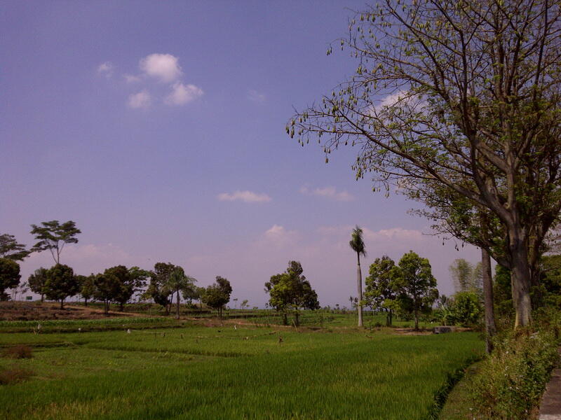 ini tempat terbaik ane gan untuk melepas stres
