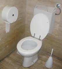Pilih mana nih Wc Duduk atau Wc Jongkok ? :)