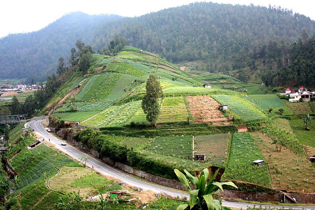 YUK GAN MAIN KE TELAGA SARANGAN - Telaga pasir MAGETAN