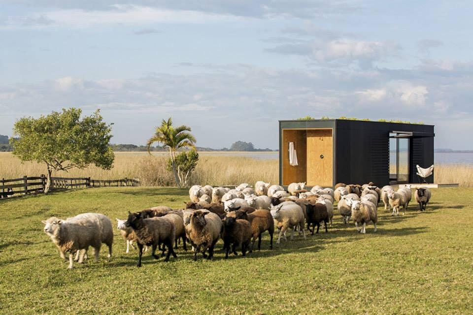 Arsitektur Modern Dan rumah tinggal