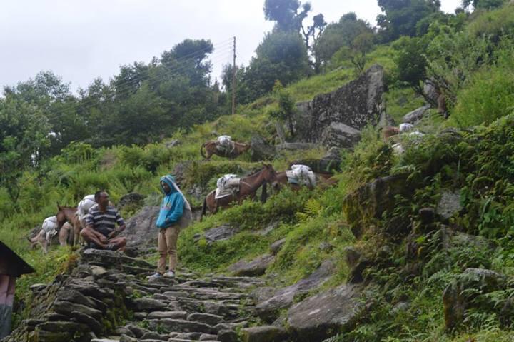 TREKKING MENUJU ABC VIA POON HILL ( perjalanan si kere di kawasan annapurna )