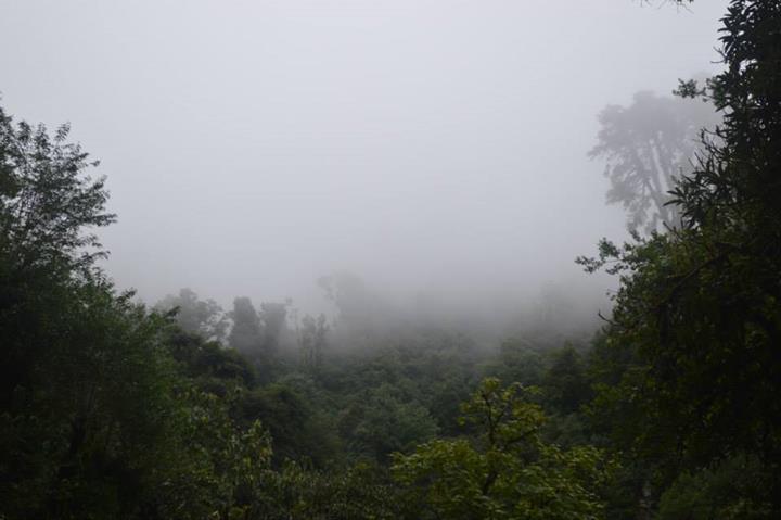 TREKKING MENUJU ABC VIA POON HILL ( perjalanan si kere di kawasan annapurna )