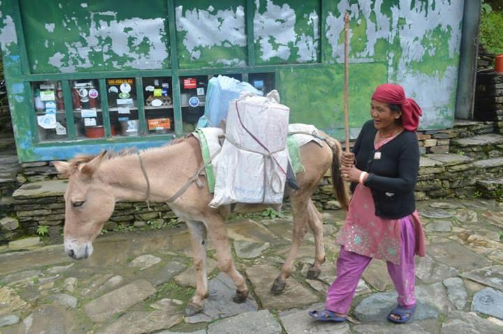 TREKKING MENUJU ABC VIA POON HILL ( perjalanan si kere di kawasan annapurna )