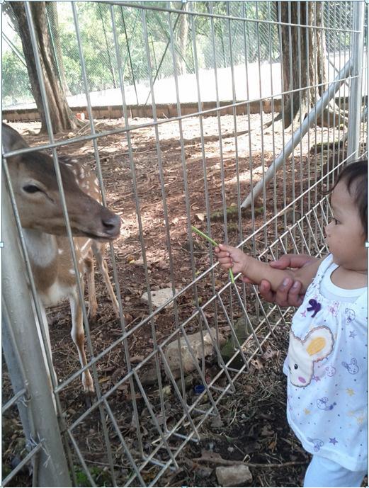 ANAK SIAPA NIH GAN?? BERANI BANGET KASIH MAKAN BINATANG INI !! !