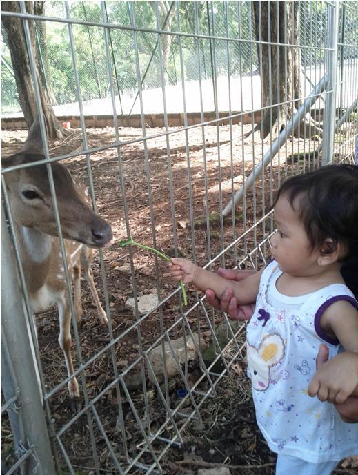 ANAK SIAPA NIH GAN?? BERANI BANGET KASIH MAKAN BINATANG INI !! !