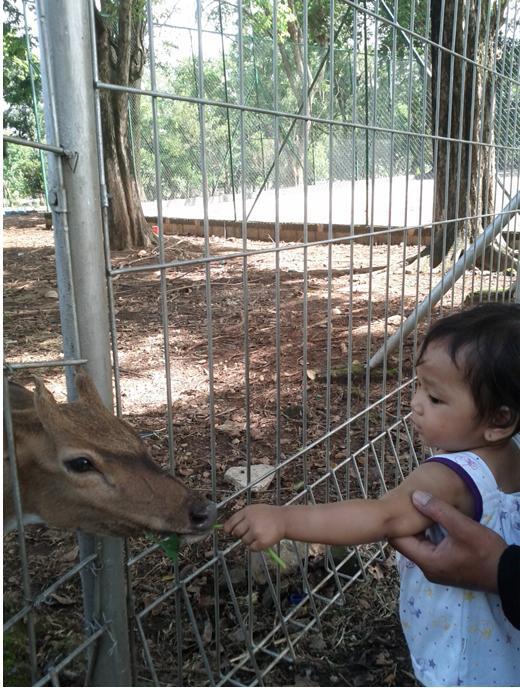 ANAK SIAPA NIH GAN?? BERANI BANGET KASIH MAKAN BINATANG INI !! !