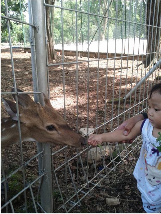 ANAK SIAPA NIH GAN?? BERANI BANGET KASIH MAKAN BINATANG INI !! !