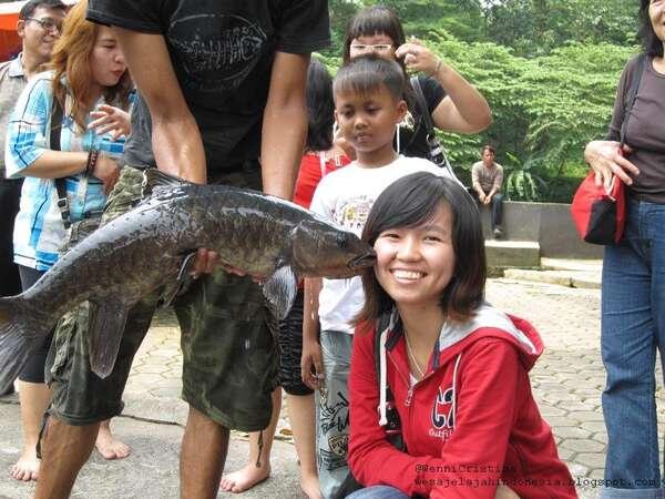 Kisah Ikan &quot;Dewa&quot; di Cibulan Kuningan Jawa Barat