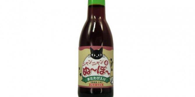 WOW Jepang Ciptakan Wine Merah Khusus Untuk Kucing