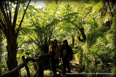 Air Terjun Jumog ; The Lost Paradise of Java 