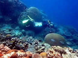 [Share Cost] Yuk jelajahi seru dan indahnya pulau biawak 11-13 April 2014