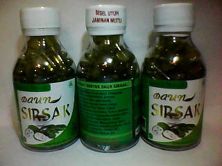 Kapsul Ekstrak Sarang Semut Papua (Kanker, Jantung, Stroke, dll.)