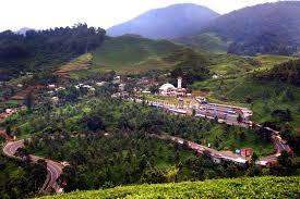 Keindahan Bogor di Puncak Untuk Melepas Lelah Dengan Polusi Jakarta