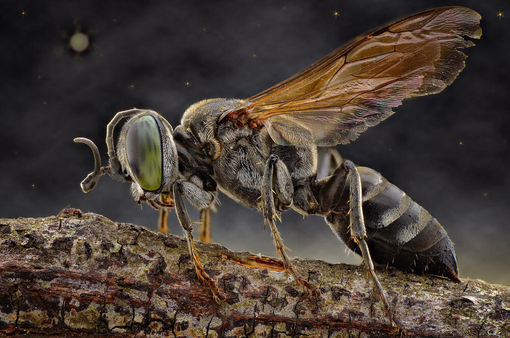 Ini Bener bener Karya Arek Indonesia ! ( Keren banget gan )