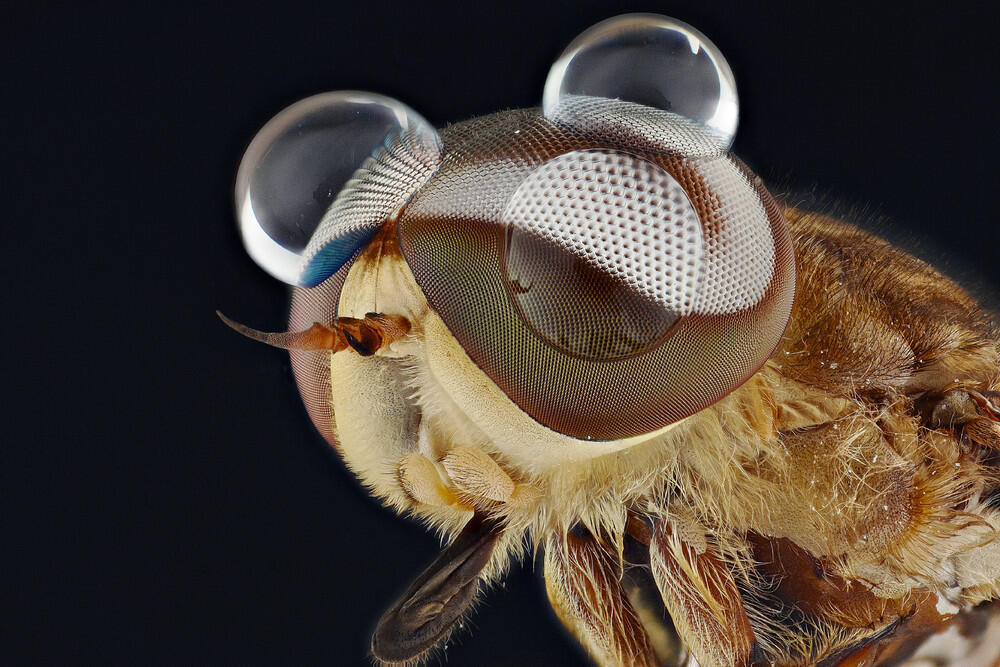 Ini Bener bener Karya Arek Indonesia ! ( Keren banget gan )