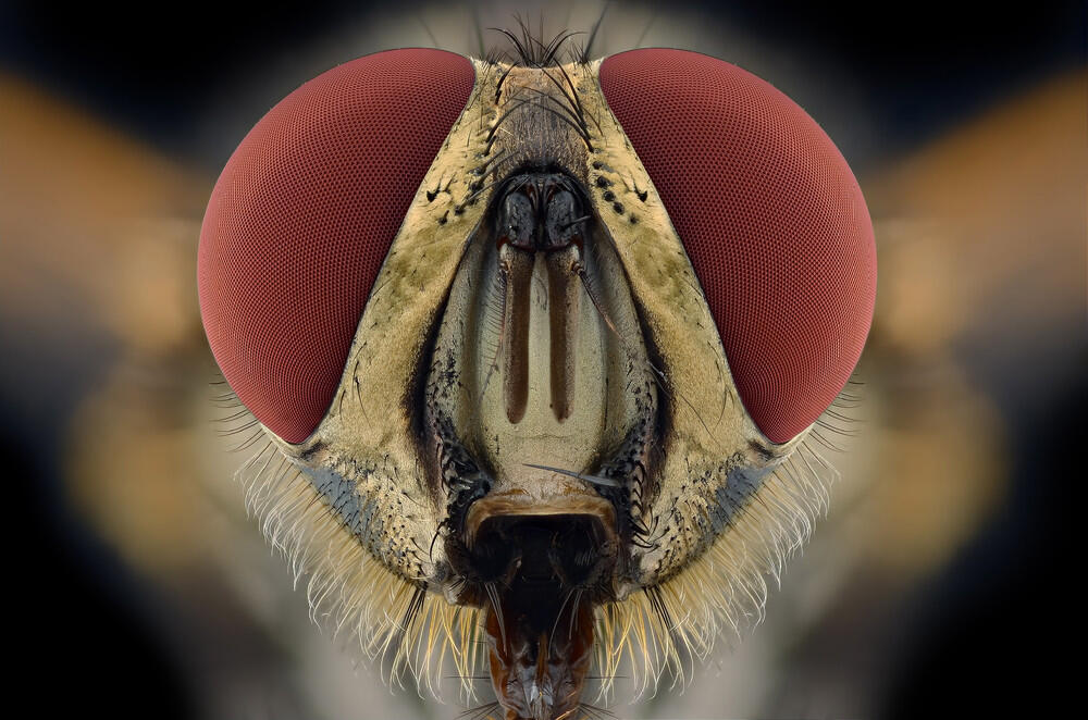 Ini Bener bener Karya Arek Indonesia ! ( Keren banget gan )