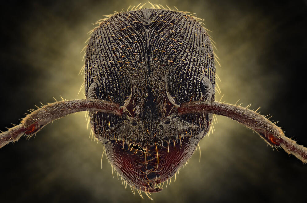 Ini Bener bener Karya Arek Indonesia ! ( Keren banget gan )