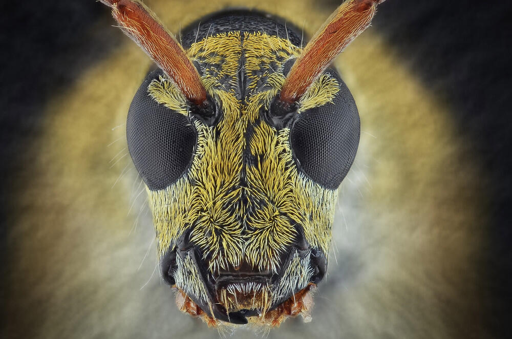 Ini Bener bener Karya Arek Indonesia ! ( Keren banget gan )